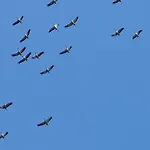 Ferienhaus-windflüchter Hirtenweg 3b