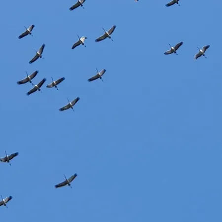 Ferienhaus-windfluechter Hirtenweg 3b