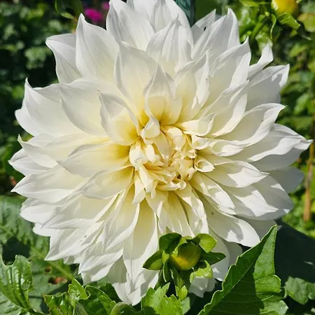 Ferienhaus-windfluechter Hirtenweg 3b Hébergement de vacances *