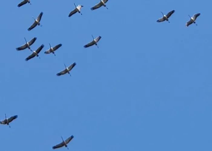 Ferienhaus-windfluechter Hirtenweg 3b