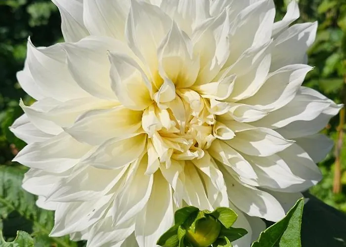 Ferienhaus-windfluechter Hirtenweg 3b Дом отдыха *